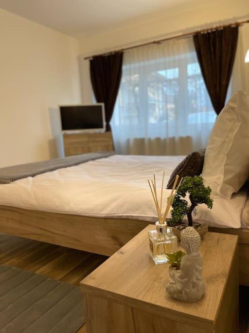 Апартаменти Apartament Modern Centru Sibiu 2Dormitoare Екстер'єр фото